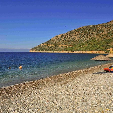 Melinda Pension & Restaurant Mesudiye  Exterior photo